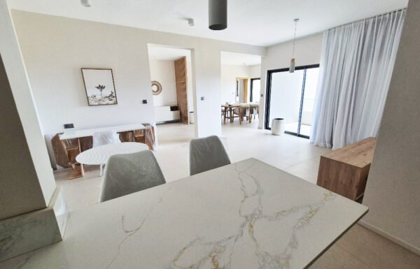 20250725_113500_resized