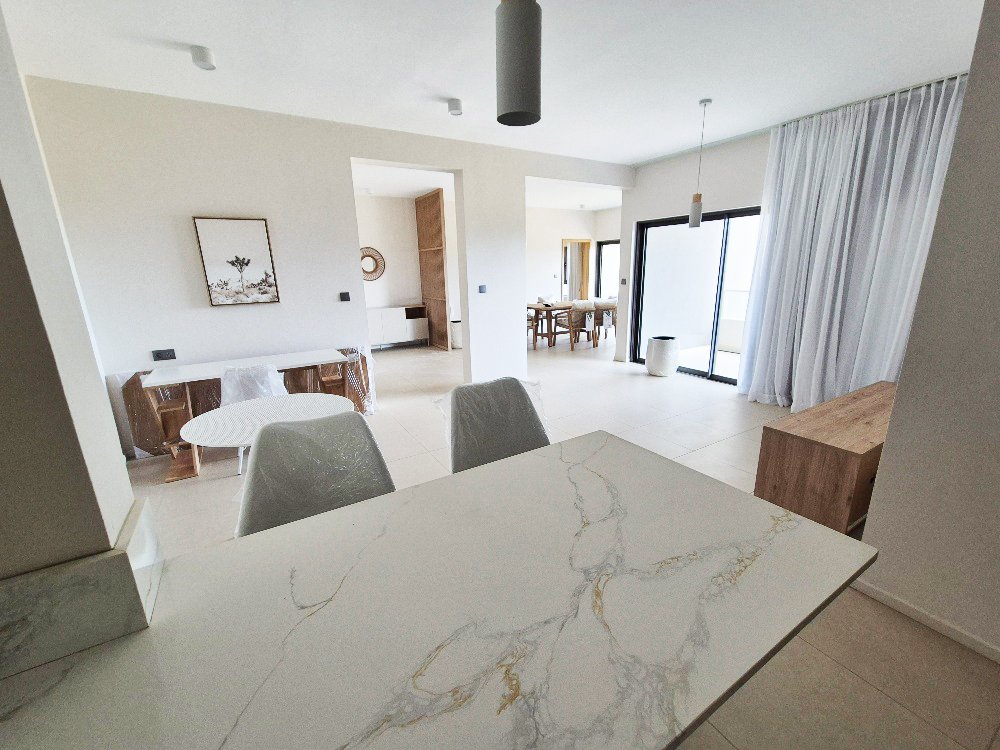 20250725_113500_resized