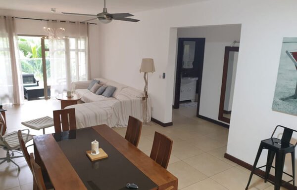 apt-tamarin-01 (1)