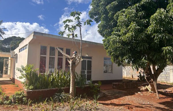 house-jinfei-05